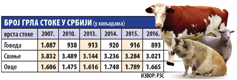 За деценију чак 200.000 грла говеда мање